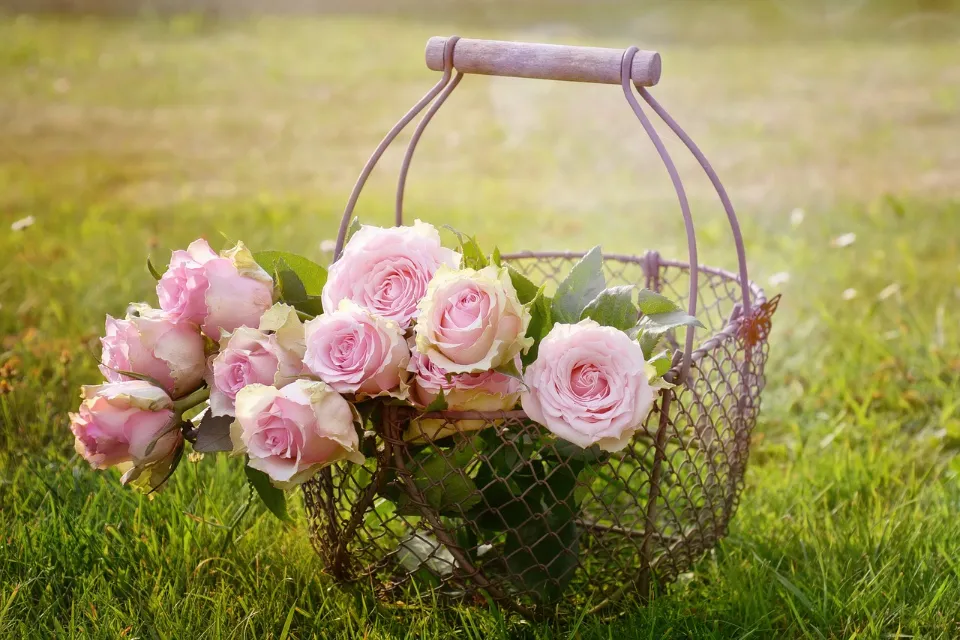 How To Transport Flowers In A Car - Find The Best Method