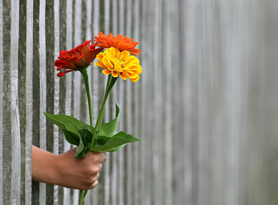 How To Transport Flowers In A Car - Find The Best Method