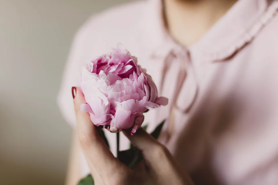 How To Transport Flowers In A Car - Find The Best Method